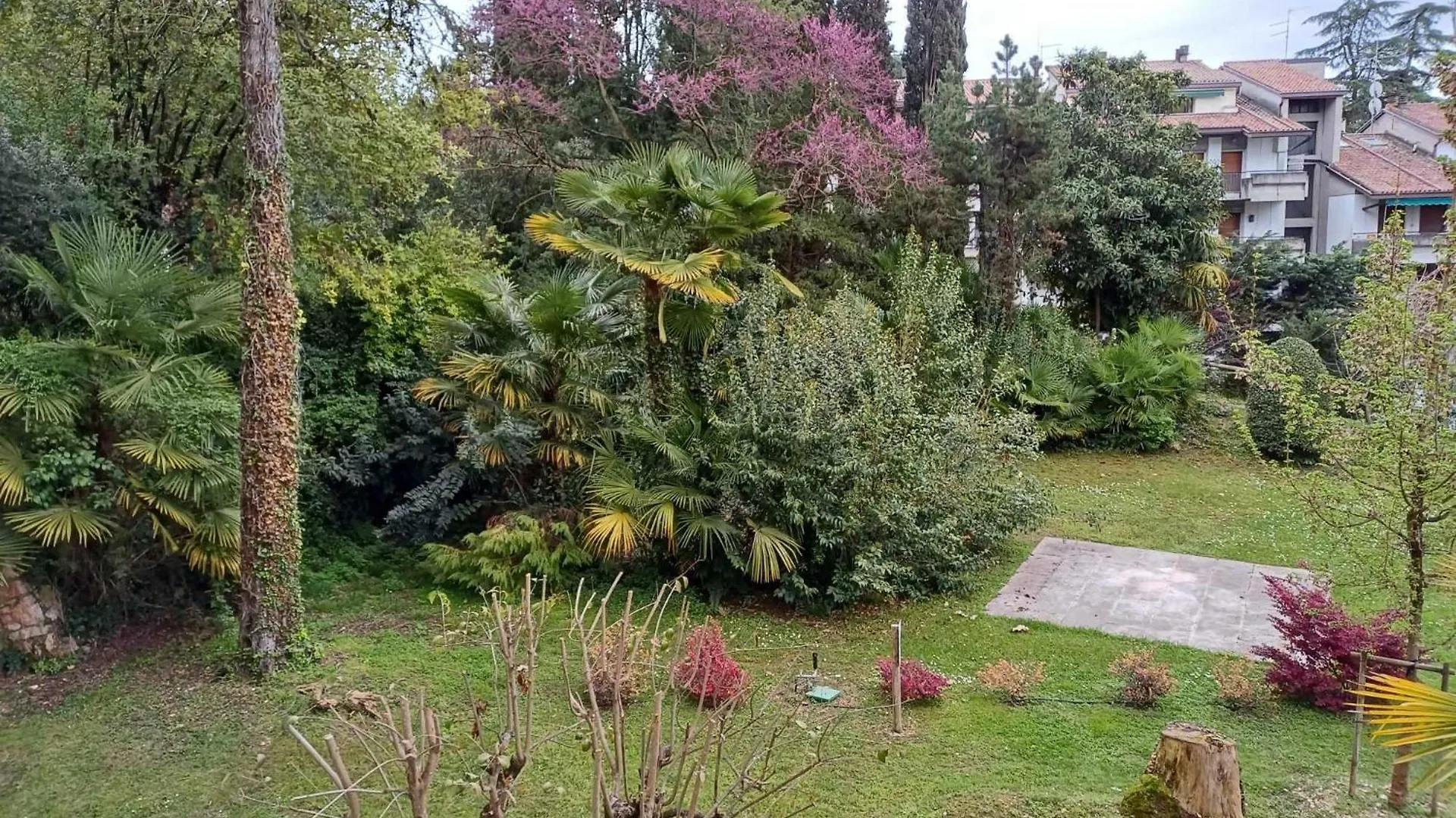 Il Nido Euroresidence Lungolago Garda Garda  Garda (Verona)