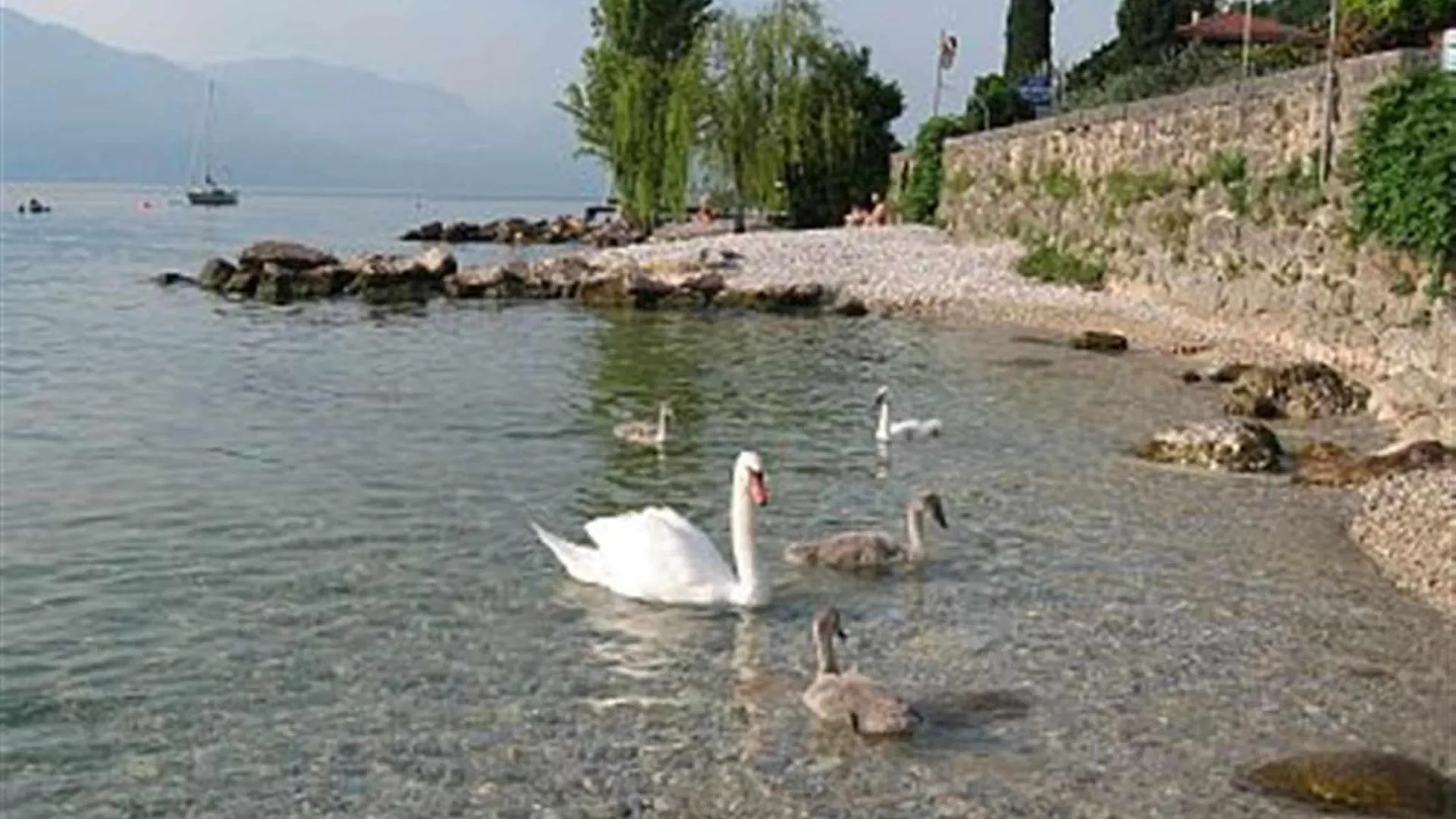 Il Nido Euroresidence Lungolago Garda Garda  Holiday home Garda (Verona)